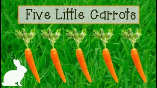 Five Little Carrots [upl. by Lucienne529]