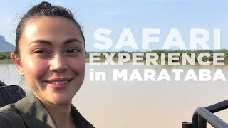 Safari Experience in Marataba  Jodi Sta Maria [upl. by Keg411]