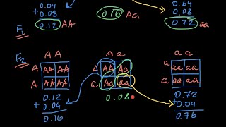 Inbreeding and loss of heterozygosity [upl. by Daitzman]