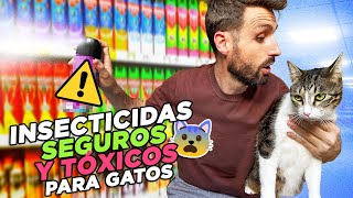 Cómo ACABAR CON INSECTOS 🦟 DE FORMA SEGURA ✅ en casas CON GATOS 🐱 Tierra de diatomeas aceites y [upl. by Aidnic]