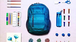 L L Bean brand new with different colored shaded backpack [upl. by Reviere]