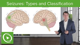 Seizures Types and Classification  Clinical Neurology [upl. by Eitsirc]