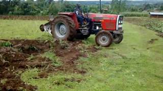 Massey Ferguson 375 with disc Plough [upl. by Midian843]