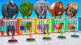 Mammoth Elephant Lion Gorilla Buffalo Guess The Right Key ESCAPE ROOM CHALLENGE Animals Cage Game [upl. by Aonian]