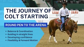 The Journey of Colt Starting From Round Pen to the Arena Unveiled [upl. by Bradstreet]