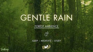 Gentle Rain On Forest Ground  NO MIDROLL ADS  Soft Rain Sounds For Sleeping [upl. by Wager]