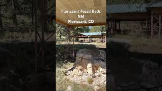 Visiting all National Park Sites 50 Florissant Fossil Beds NM [upl. by Tilney]