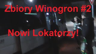 Zbiór winogron w Niemczech Vlog CZ2 2021 [upl. by Ivzt839]