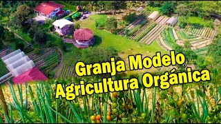 GRANJA MODELO AGRICULTURA ORGÁNICA 1ra Parte  HDA TIERRA DULCE [upl. by Etnahc]