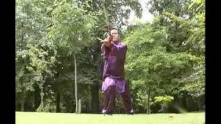 Master Wang Hai Jun  Chen Style Tai Chi Chuan  Taijiquan [upl. by Nnyliak]