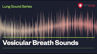 Vesicular Breath Sounds  EMTprepcom [upl. by Relyat]