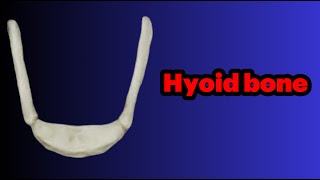 جلسه 27 استخوان هایوئید Hyoid bone [upl. by Aihsyak]