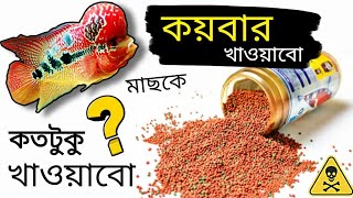 মাছকে খাবার কতটুকু দিবেন। How to Feed Your Aquarium Fish Aquarium Fish Food [upl. by Aisatsanna]