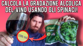 Fare il vino il trucco per calcolare la gradazione alcolica direttamente a casa tua [upl. by Gabriello]