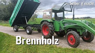 REISCH  Brennholz  Kippen  Einparken Millimeterarbeit [upl. by Frantz]