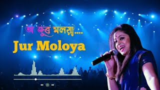 Jur Moloya অ জুৰ মলয়া Assamese Song  Priyanka Bharali [upl. by Hesoj]