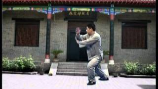 Master James Fus 28 Forms  Authentic Yang Tai Chi Chuan  Proficiency Demo [upl. by Enaej]