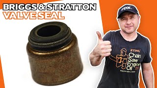 HOWTO Replace Briggs amp Stratton Engine Valve Seals [upl. by Pantheas]