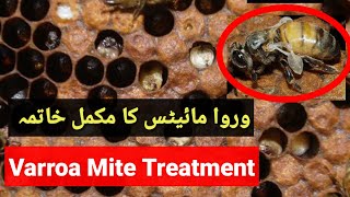 Varroa Mite Treatment  Varroa Mite Treatment Hindi [upl. by Unhsiv]