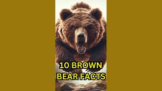 10 Fascinating Facts About Brown Bears shorts brownbears bears [upl. by Olav220]