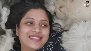 Pet Dogs Reaction on Chow Chow Puppy at Home  Booster  Cream  Booster Prahanjan [upl. by Ludovick]