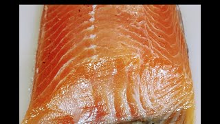 Gravlax salmon recipe  Cured salmon recipe  salmon recipe  home made gravlax cured salmon [upl. by Wolliw385]