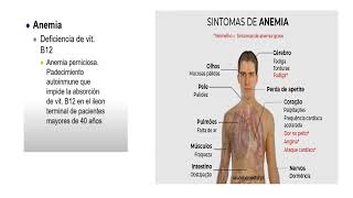 SEMIOLOGIA DEL SISTEMA HEMATOPOYETICO 2024 [upl. by Hpesojnhoj745]