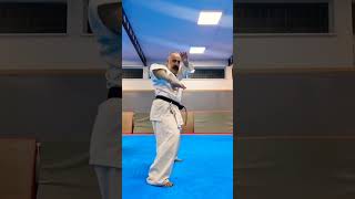 seienchin kataehsanashtari shidokan renshiashtari martialarts kata seienchin karate [upl. by Annauqahs]