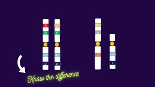 Heterozygous vs Hemizygous genotype alleles homozygous [upl. by Joela]