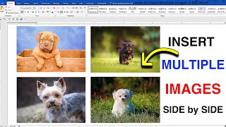 How to Insert Multiple Images in MS Word [upl. by Ahsilet]