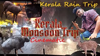 Kerala Rain Trip in Cinematic lonerangertn trending [upl. by Brodeur135]