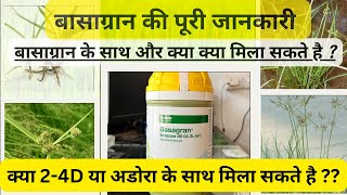 धान में होने वाले सभी प्रकार के मोथा प्रज़ाति के खरपतवार के लिए बेस्ट खरपतवारनाशक Basagran 24D [upl. by Ecirtnom795]