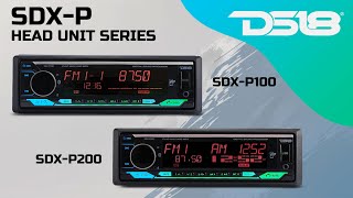 Upgrade Your Car Audio Experience with DS18s SDX Series [upl. by Enelez]