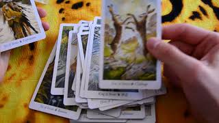 Обзор Таро Дикого Леса \\ Wildwood Tarot Как призвать духов помощников и узнать свой тотем [upl. by Lahcim771]