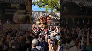 【華麗な練り歩き！2023年 百舌鳥八幡宮ふとん太鼓、本町宮入 】 [upl. by Jenifer]