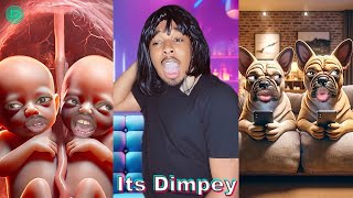 Its Dimpey Funny TikTok Video Compilations  New Dimpey TikTok Videos 2024 [upl. by Ayad220]