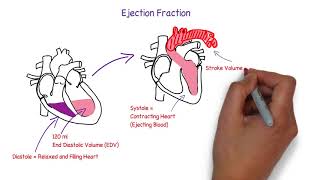 Heart Failure  Introduction [upl. by Kraft]