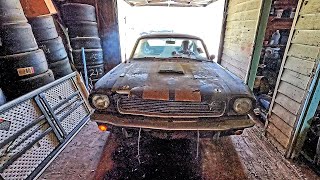 1966 Shelby Mustang Barn Find amp Historic Factory Ford Race Car Uncovered [upl. by Hatnamas]