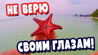 ФУКУОК  ПЛЯЖ С МОРСКИМИ ЗВЕЗДАМИ [upl. by Naasah]