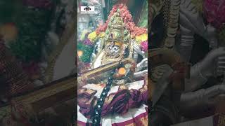 Peddapuli Eshwar Maisamma Song  Kattula Peedinche Song  ytshorts  Bonalu Songs  Maisamma Songs [upl. by Sussman578]