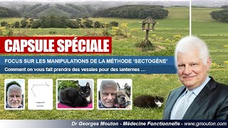 FOCUS SUR LES MANIPULATIONS DE LA MÉTHODE SECTOGÈNE [upl. by Araiet922]