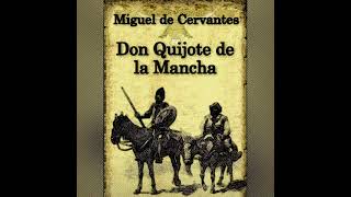 Capítulo 19 Audiolibro Don quijote de la mancha De las discretas razones que Sancho pasaba con [upl. by Ailehc]