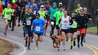 Dog Accidently Joins Half Marathon Finishes Race In 7th Place [upl. by Arimaj49]