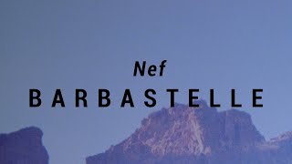 BARBASTELLE  Nef [upl. by Au675]