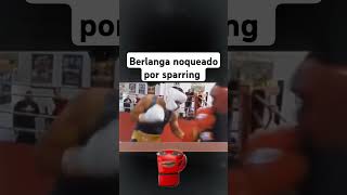 Berlanga noqueado por su sparring boxeo boxeomexicano Canelo caneloalvarez caneloberlanga [upl. by Tallulah615]