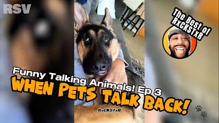 Best of RxCKSTxR Funny Talking Animal Voiceovers Compilation 3 [upl. by Daigle]