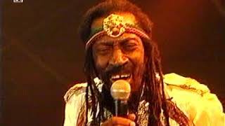 Bunny Wailer Live At Chiemsee Reggae Summer 2001 [upl. by Pish]