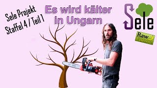 In Ungarn wird es kälter  Bäume fällen Aber wie ohne Benzin und Stromanbieter SELE 4  Teil 1 [upl. by Lleon]