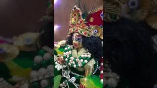 laddu Gopal piyare Piyare ğŸ™ğŸ»ğŸ™ğŸ»ğŸ¥³ğŸ¥³ [upl. by Nefets656]