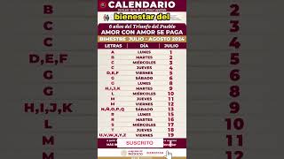 Calendario de pagos de JULIO 2024  ¿Cuando pagan la pension bienestar [upl. by Rednazxela822]